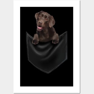 Brown labrador Retriever Dog inside Pocket, Lab Dog Love Posters and Art